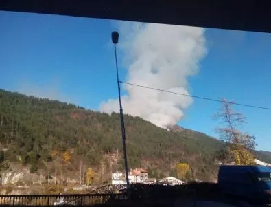 Пожарът край Златоград е овладян напълно