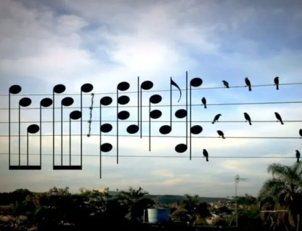 Мъж създаде песен, използвайки за ноти птици. Чуйте звука на природата (ВИДЕО)