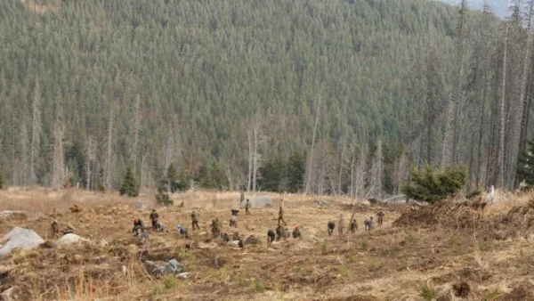 София отбелязва "Седмицата на гората" със засаждане на нови дръвчета на Витоша