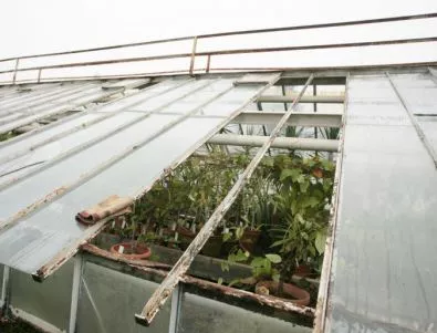 Ботаническата градина пострада сериозно от буреносния вятър