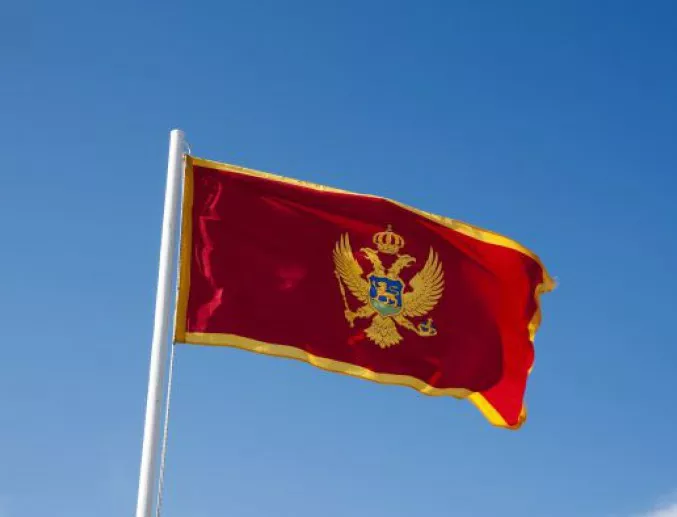 Черна гора гласува за нов парламент