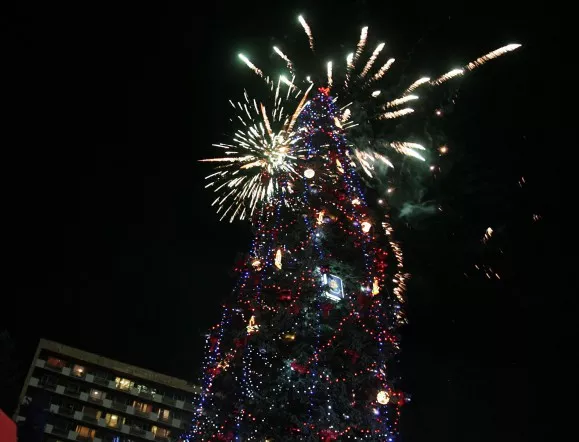 Коледната елха на София вече ще е пред НДК, палят светлините на 1 декември