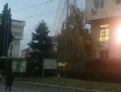 Коледните празненства в Асеновград започват със запалване светлините на елхата