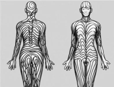 Тялото на човека е покрито с невидими линии