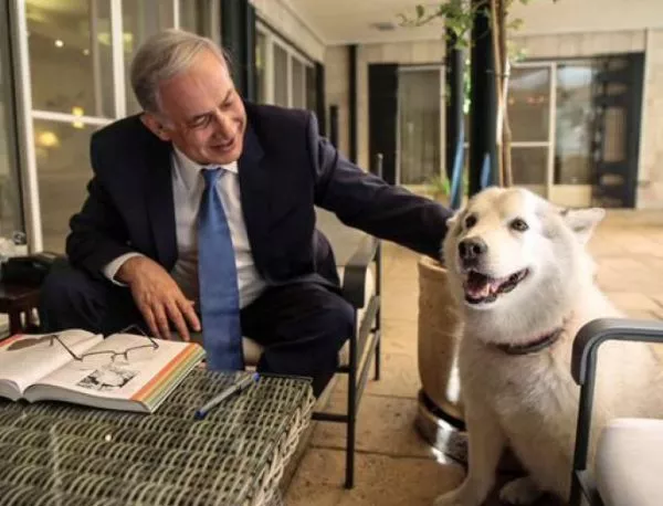 Кучето на Нетаняху ухапа двама гости на Ханука