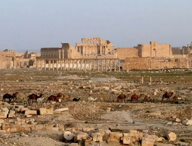 Сирийската армия влезе в Палмира 
