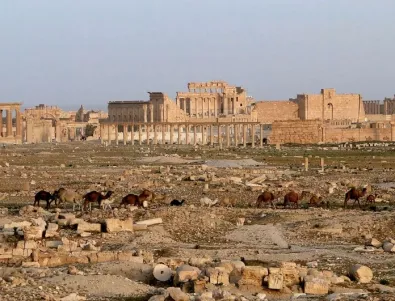 По-голямата част от древна Палмира не е разрушена 