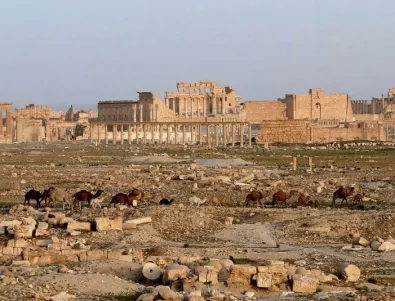 5 години ще са нужни за възстановяването на Палмира 