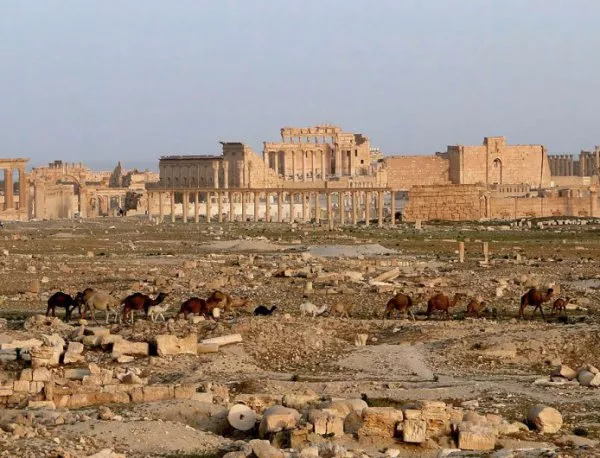 Откриха масов гроб с избити от "Ислямска държава" цивилни в близост до Палмира
