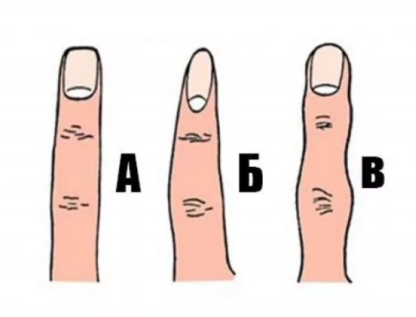 Какъв човек си според формата на пръстите ти
