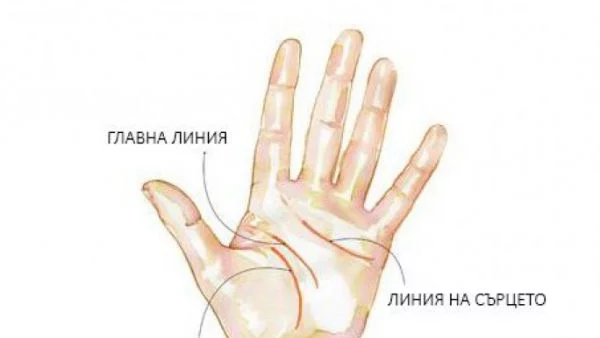 Какво казват за теб линиите на ръката ти