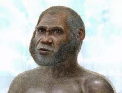 Загадъчни древни хора са определени като нов вид