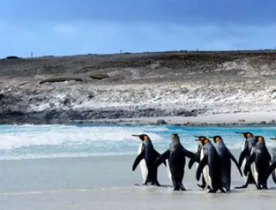 Новите власти на Аржентина възобновиха претенциите към Фолкландските острови