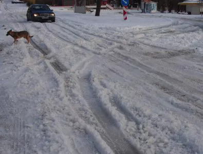 Снегопочистващите фирми в Плевен са глобени заради некачествена работа