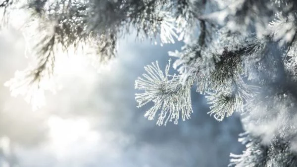 Температурите стигнаха минус 19°, вижте къде