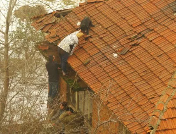 Добри хора спасиха куче, качило се на покрива на къща
