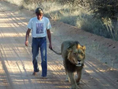 Невероятното приятелство между лъв и човека, който го спасява