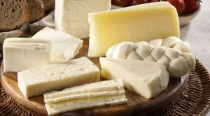 ДФЗ подписа договор за частно складиране на сирене 
