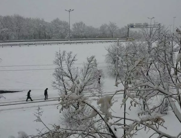 30 см е снежната покривка в София