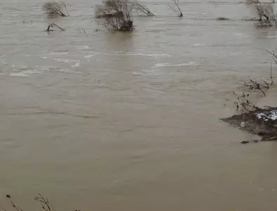Мъж отказа да остави животните си в наводненото ранчо, превозиха ги с лодка