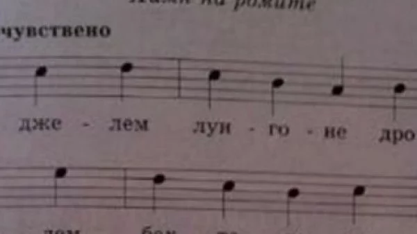 Ромски химн в учебника по музика за 9 клас. Ученици се възмутиха и пуснаха декларация