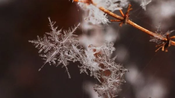 Как се правят абсолютно еднакви снежинки?