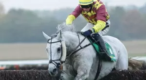 Спорт по ТВ: Ето какво да гледаме днес - събота, 16.10