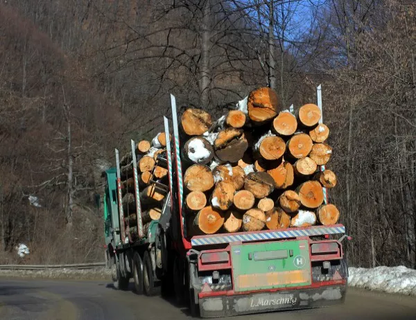 Недостигат работници за добива на дърва за огрев в област Пазарджик