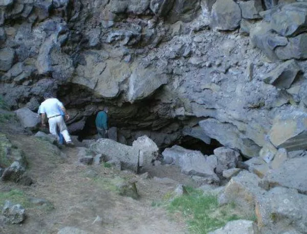 Откриха "адски" подземни микроби в ЮАР