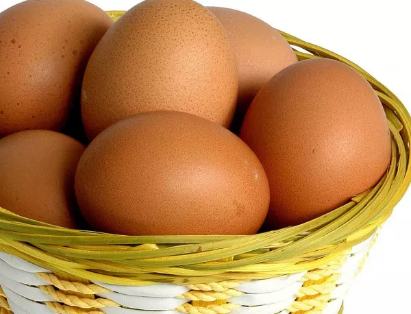 Няма сигнали за заразени със салмонела яйца в област Габрово