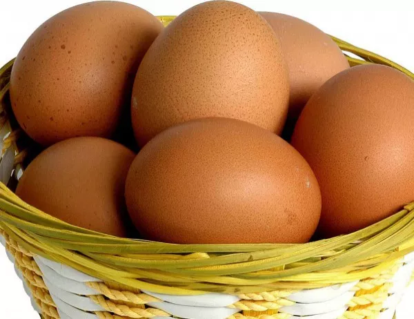 В Холандия арестуваха двама души заради заразените яйца 