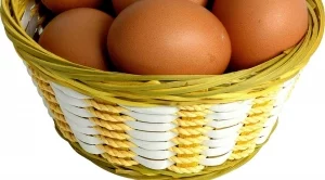 Има ли заразени яйца на пазара в България?