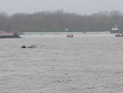 За река Дунав е обявена първа степен за опасност от заливане 