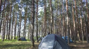 Реформатори предлагат да се създадат зони за палатки и каравани