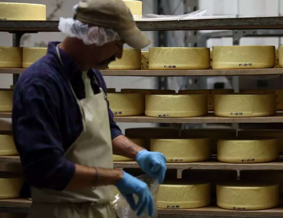 Твърдение: Кашкавалът и сиренето от "Ел Би Булгарикум" поевтиняват заради предишния шеф