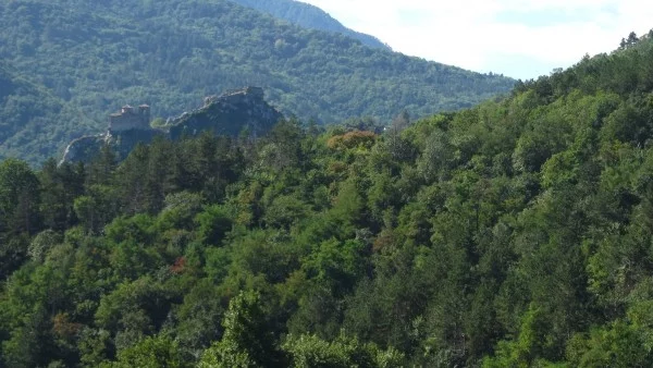 Училищната академия в Асеновград тази година е открита и за ученици от други общини