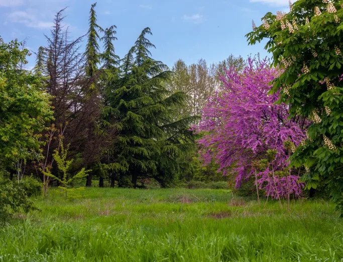 Пълна забрана за строителство в парк "Бедечка" наложи община Стара Загора