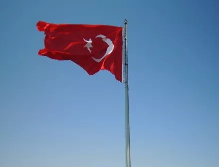 Предадохме на Турция 7 гюленисти, заловени у нас