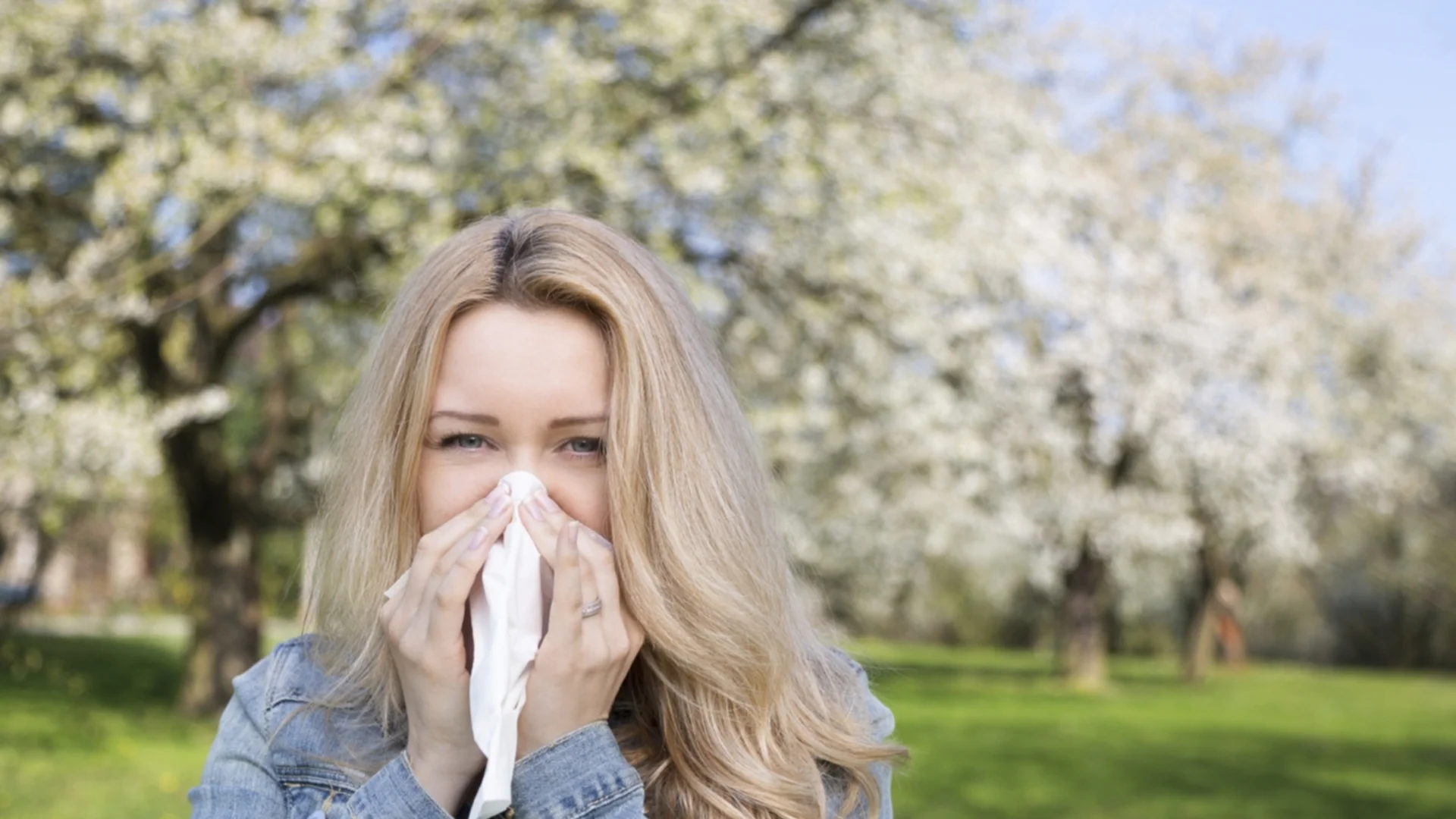 Какви са причините за засилването на сезонните алергии