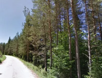 Откриха невредимо 12-годишно момче, изгубило се в гората край село Бистра