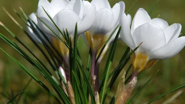 Прогноза за времето - 22 февруари (сряда)