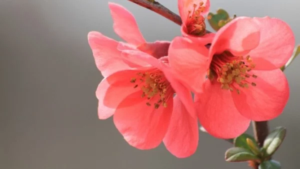 Прогноза за времето - 27 април (петък)