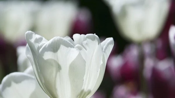 Температурите ще се повишат, максималните ще са между 21° и 26°