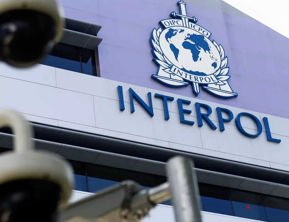 Операция на Интерпол в шест държави откри заподозрени в тероризъм