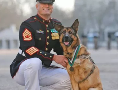 Медал за храброст получи куче, спасило живота на хиляди военни в Афганистан