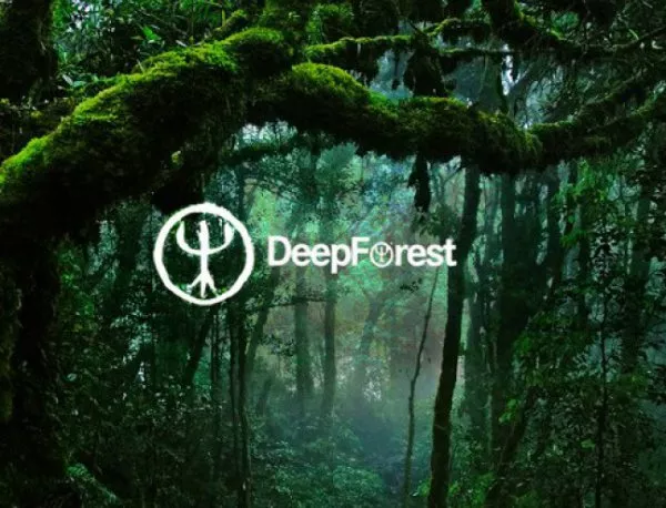 Беглика Фест 2016: Дружно усилие  със звученето на DEEP FOREST