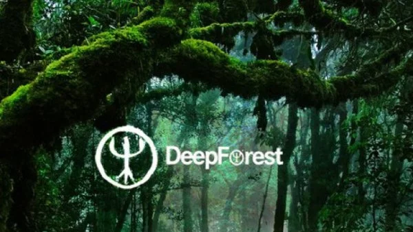 Беглика Фест 2016: Дружно усилие  със звученето на DEEP FOREST