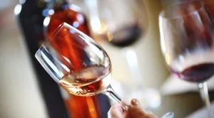 Франция отчете рекорден износ на вино и спиртни напитки 