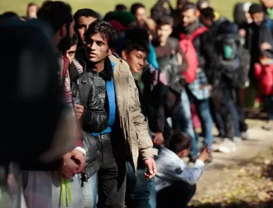 Рекорден брой нелегални имигранти заливат Германия