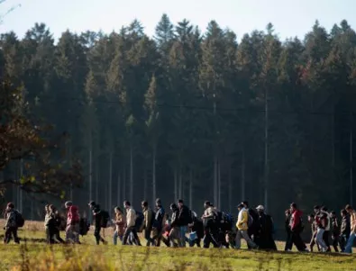 Естония също не иска да подпише Глобалния пакт за миграцията
